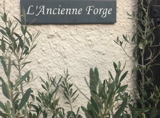 L'ancienne Forge 27 Rue De La Creche Bourg Born Bed and Breakfast